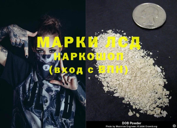крисы Баксан