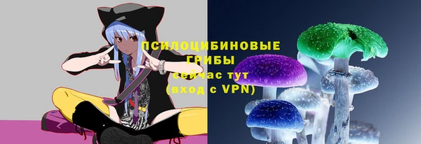 крисы Баксан