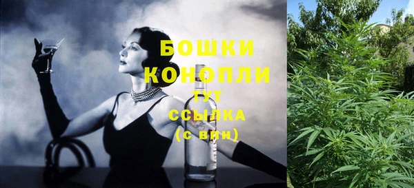 крисы Баксан
