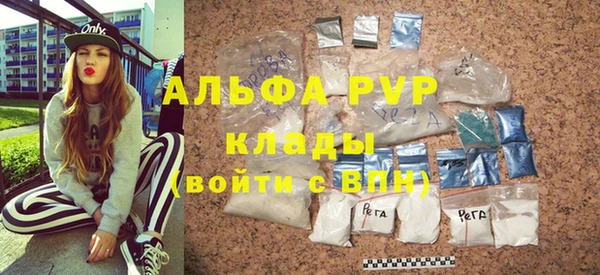 крисы Баксан